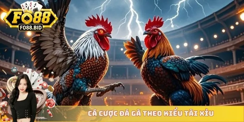 Cá cược đá gà theo kiểu tài xỉu